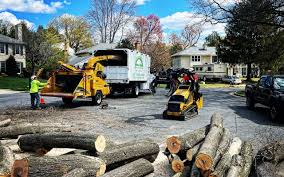 Best Lot and Land Clearing  in Arcadia, WI