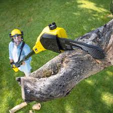 Best Hazardous Tree Removal  in Arcadia, WI