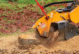 Best Storm Damage Tree Cleanup  in Arcadia, WI