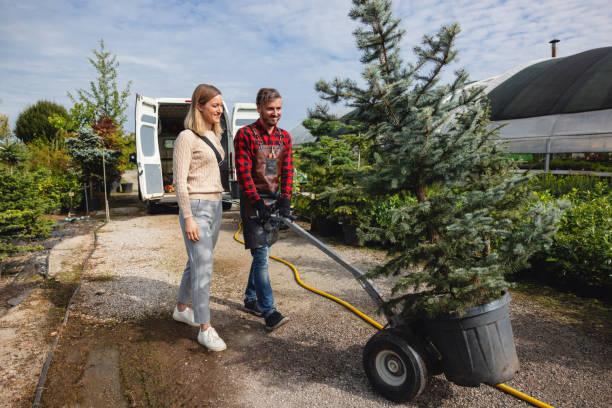 How Our Tree Care Process Works  in  Arcadia, WI