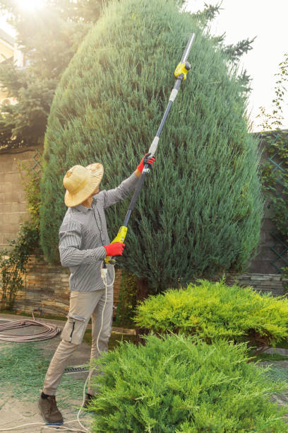 Landscape Design and Installation in Arcadia, WI